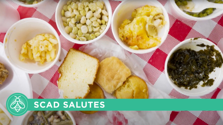 Play "SCAD Salutes Mrs. Wiles Dining Room"