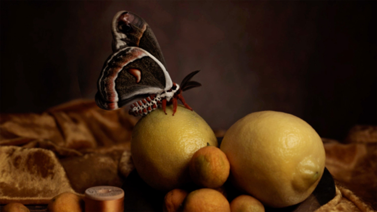 Play "SCAD photography alumna Claire Rosen" video